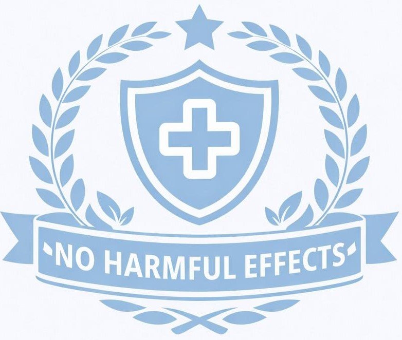 chatgptimagejan20202611 54 33p