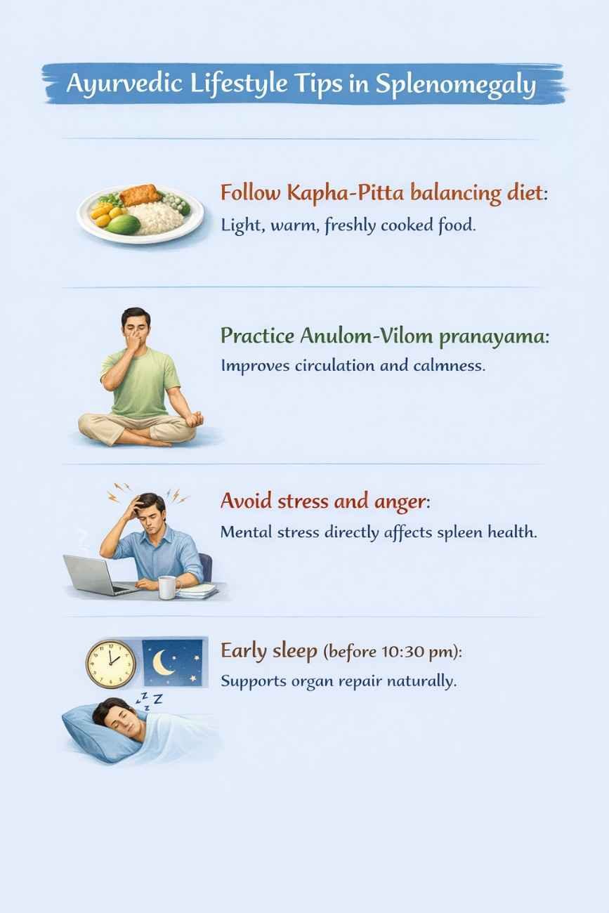 chatgptimagefeb3202610 33 52p