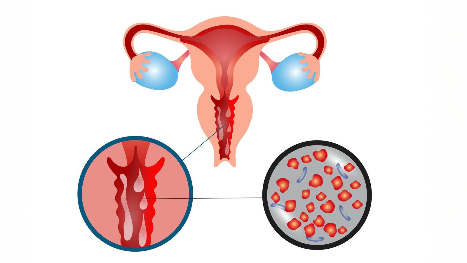 freepik upload 50838