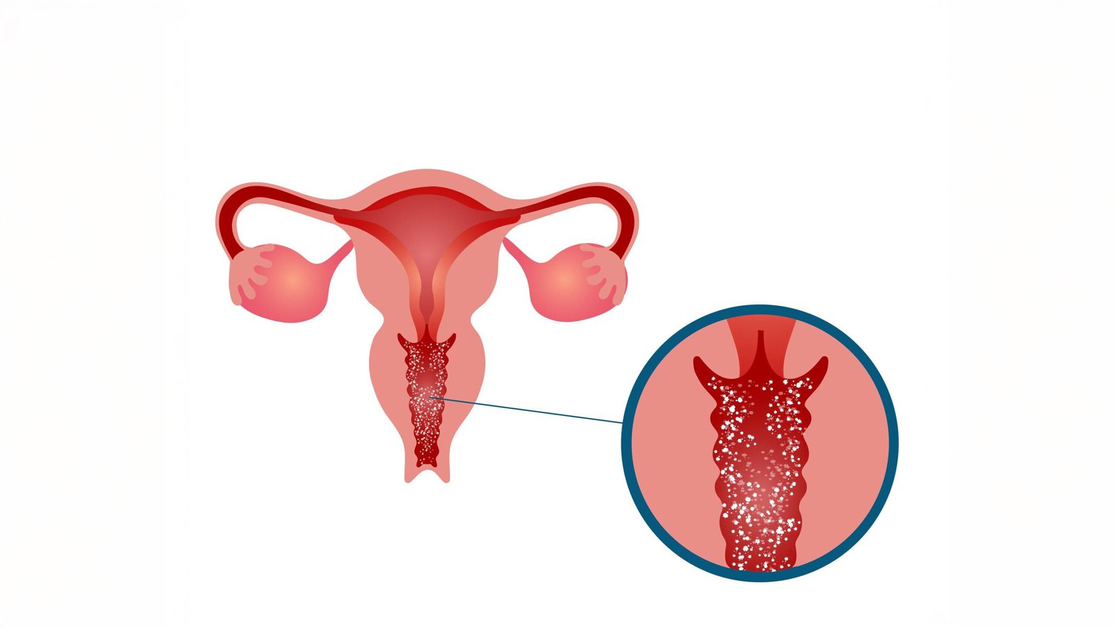 freepik upload 93039