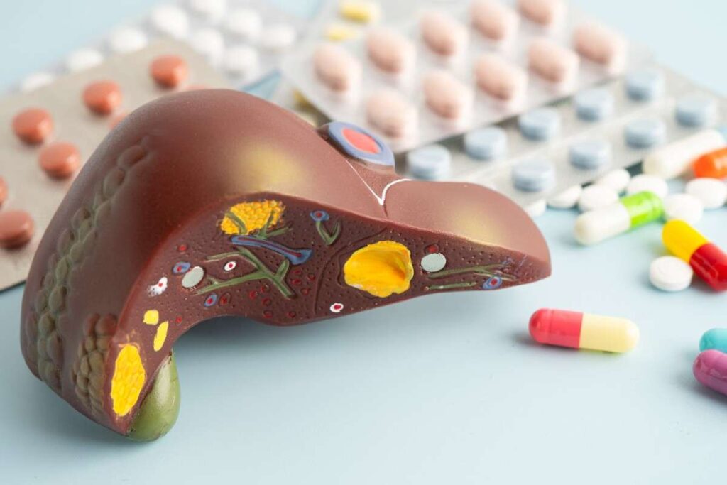 Fatty liver treatment with medicine and liver model showing liver disease and recovery concept Fatty Liver Ayurvedic Treatment