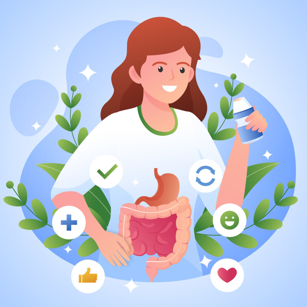 healthy digestive system illustration with natural digestion support